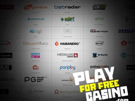 Top Online Slots and Game Providers